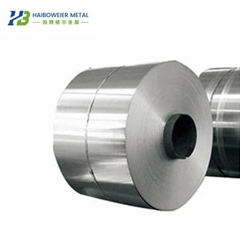 Cintura in nichel puro N6